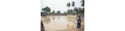 கொல்லங்குடி காளி - சிவகங்கை - தமிழ்நாடு